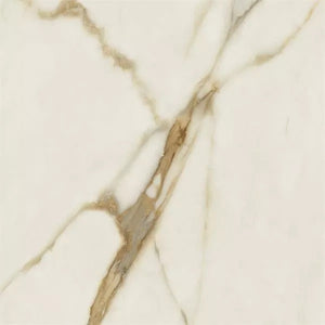 Warm Wind Gold Polished R 59.8x59.8 см.