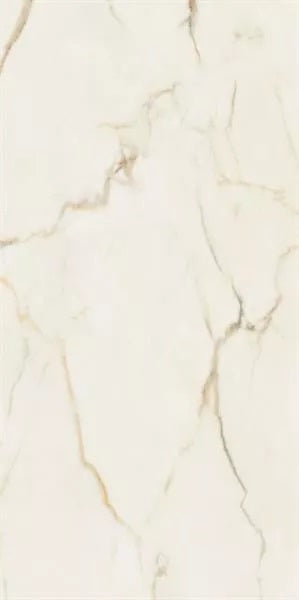 Warm Wind Gold Polished R 59.8x119.8 см.