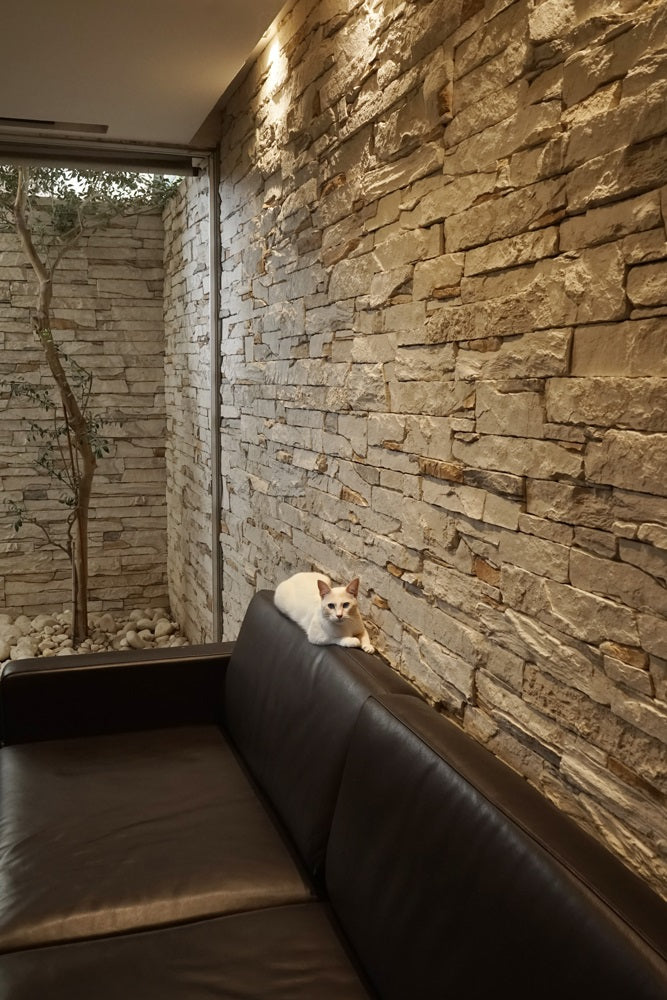 Isola - 8 цвята изкуствен камък за облицовка на стени в онлайн магазин KERANOVA, декоративна стена в интериор с кафява кожа мебел и котка