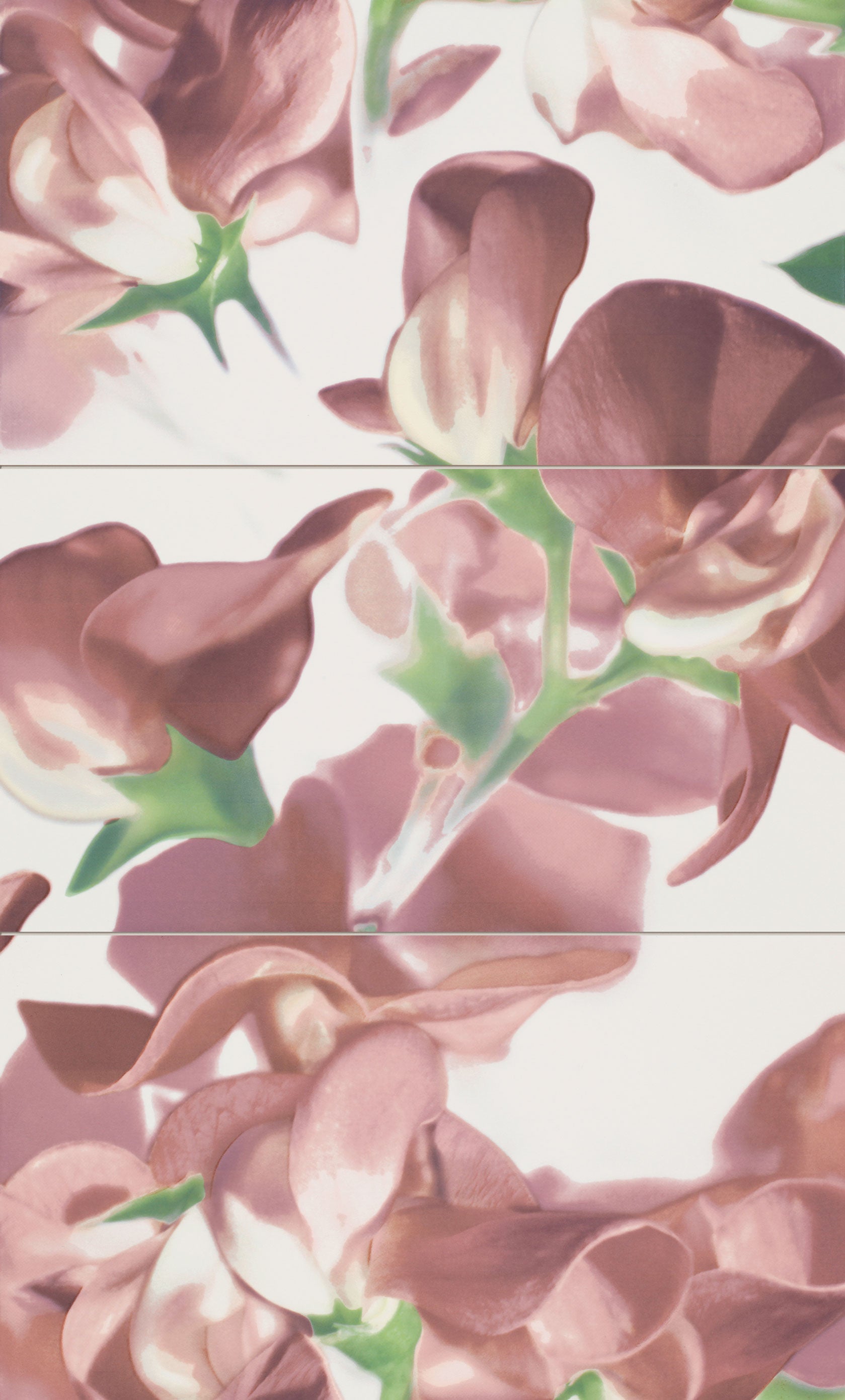 Bloom Carmine 59.3x98.5 розови флорални плочки за баня от онлайн магазин за обзавеждане за бани KERANOVA